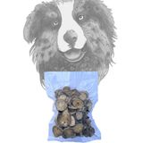 Sirius Dana ve Akciğerli Cips 100 gr Köpek Ödül Maması