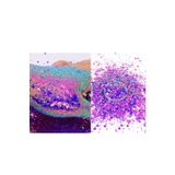 Sirius Hobi Epoksi Reçine Chameleon Fantasy Tırnak Makyaj Chunky Glitter 8 gr Hologramlı Sim 2x4gr Kutulu