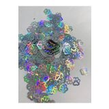 Sirius Hobi Epoksi Reçine Silver Paw Tırnak Makyaj Chunky Glitter 4 gr Hologramlı Sim 2x2gr Kutulu