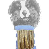 Sirius Pet Food 500 gr Dana Penisi Bully Stick - Doğal Köpek Ödülü Yüksek Proteinli