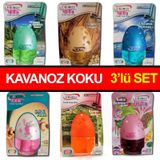 Şişe Cam Koku Oda ve Oto Kokusu Araç Kokusu Kavanoz Koku 3 Lü Set
