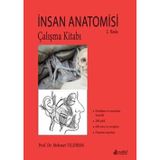 Sistematik Anatomi Çalışma Kitabı