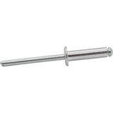 Site Hırdavat Aluminyum Pop Perçin 4X15 (100 Adet) Dayanıklı Malzeme ile Güçlü Bağlantı Sağlar