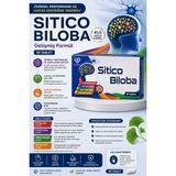 Sıtıco Bıloba 30TB
