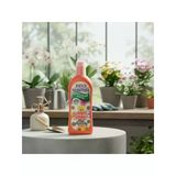 Sıvı Bitki Besini, Çiçek Açan Bitkiler İçin 600 Ml Hediye İle
