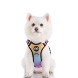 SIXPET Küçük Köpek için LED Köpek Koşum, Işıklı Köpek Koşum, 2 Tasma Klipsli Çekmesiz Köpek Koşum, Ayarlanabilir Yumuşak Yastıklı Köpek Yelek, Kolay Kontrol Saplı Yansıtıcı Köpek Koşum (S Gökkuşağı)