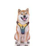 SIXPET Orta Köpek için LED Köpek Koşum, Işıklı Köpek Koşum, 2 Tasma Klipsli Çekmesiz Köpek Koşum, Ayarlanabilir Yumuşak Yastıklı Köpek Yelek, Kolay Kontrol Saplı Yansıtıcı Köpek Koşum (M Gökkuşağı)