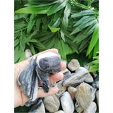 Siyah Beyaz Çizgili Dolomit Taş 5 Kg, Bahçe Süs ve Dekoratif Taşı, 3-6 cm - Seçenek 1 - Ahşap - Beyaz