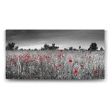 Siyah Beyaz Gelincik Tarlası Tablosu - 100x50cm