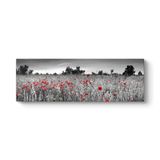 Siyah Beyaz Gelincik Tarlası Tablosu 150 x 50