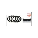 Siyah Beyaz Lastik Yanagi 4 Lu Set 16 İnc