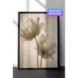 Siyah Çerçeveli Duvar Tablosu Şeffaf Gelincik Çiçeği Nötr Ton Minimal Fotoğraf Salon Dekoru, 13 X 18