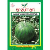 SİYAH KARPUZ TOHUMU 10 GR ORT 100 AD TOHUM