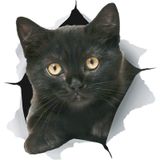 Siyah Kedi Yırtık Araba Sticker Kapak Scratch Çıkartması