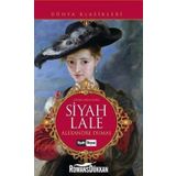 SIYAH LALE - ALEXANDRE DUMAS (ISBN:9799753628180)