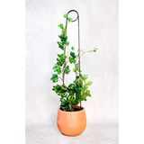 Siyah Metal Destek Çubuğu, 65 Cm Uzunlukta, Bitkiler İçin
