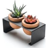 Siyah Metal Stantlı 2’li Skulent Saksısı – Siyah Metal Stant ve Meşe Saksılar, Modern Tasarım, Dekoratif Çiçek Saksılığı, Skulent ve Kaktüs İçin Şık Saksı, Ev ve Ofis Dekoru