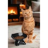Siyah Özel Tasarım Lüks Kedi Mama Kabı