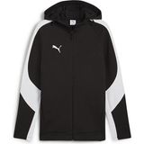 Siyah Puma Erkek Futbol Kamp Ceketi Team Evostripe Hooded 65994703