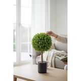 Siyah Renkli Saksıda Yoğun Yapraklı 65 Cm Yapay Top Şimşir Ağacı 35X35