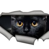 Siyah Sevimli Kedi Yavrusu Araba Sticker 18 Cm