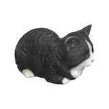 Siyah Ve Beyaz Uyuyan Kedi Heykeli, Poliresin