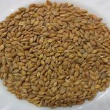 Siyez Buğdayı Aşurelik(Yarma Buğday)
