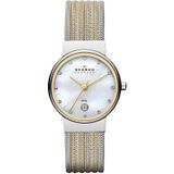 Skagen SKA355SSGS Bayan Kol Saati