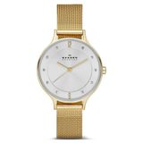 Skagen SKW2150 Kadın Kol Saati