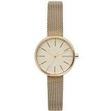 Skagen SKW2614 Bayan Kol Saati