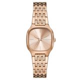 Skagen Watches SKW3166 Kadın Kol Saati