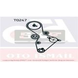Skf VKMA01222 Trıger Eksantrık Gergı Setı Golf V Jetta Iıı Passat 05- Touran / A3 A4 A6 / Toledo Iv Altea Uyumlu