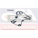 SKF VKMA06115 TRİGER EKSANTRİK GERGİ SETİ CLIO KANGOO MEGANE LAGU