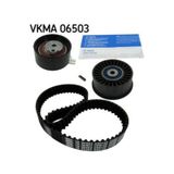 SKF VKMA06503 Triger Eksantrik Gergi Seti Laguna II Trafic II Master II / Movano A 2.5 Cdtı 2.2 Dtı