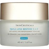 Skinceuticals Yeni 24 Saat Nemlendirici Krem 48 ml