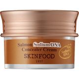 Skinfood Salmon Concealer Dolgunlaştırıcı - 02