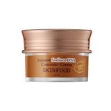 Skınfood Skınfood Salmon Sodıum Dna Concealer Cream No.2 Beıge