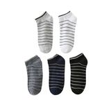 Sky Socks 5'li Erkek Çemberli Renkli Patik Ekonomik Paket Kısa Spor Sneakers Çorap Tek Beden