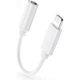 Skygo 13/13 Pro/12/12 PRO/11/11PRO Için Lightning To 3.5mm Aux Jack Kulaklık Dönüştürücü Adaptörü. iPhone 13/13PRO/13PRO Max/12/12 PRO/12PRO Max/11/11 Pro/11/pro Max/x/xr/xs/xs Max/8/7 Uyumlu