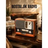 Skygo Ahşap Görünümlü Retro Bluetooth Radyo Usb,aux ve Sd Kart Girişli