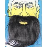 Skygo Siyah Renk Takma Sakal Bıyık Takımı