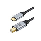 Skygo ZR126 Siyah Type-C Mini Dp Çevirici Kablo 1,8 M