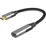 Skygo ZR722 Type-C Mini Dp Çevirici - Renkli