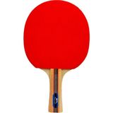 Slazenger Champion Ittf Onaylı Masa Tenis Raketi - Renkli