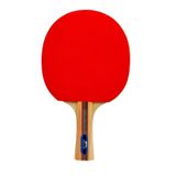 Slazenger Champion ITTF Onaylı Masa Tenis Raketi