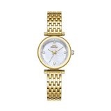 SLAZENGER, GOLD KASA, GOLD KORDON, SEDEF KADRAN, TAŞLI, QUARTZ, 3H, 28MM, 5ATM, KADIN KOL SAATİ, SL.09.2526.3.02