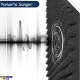 Slc 30mm Yanmaz Akustik Yumurta Yalıtım Süngeri 50 Dns 100cmx100cm (1m²)