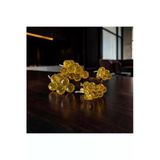 Sleep Nova Amber Crystal Grape Dekoratif Obje – Altın Ton Cam Üzüm Modern Lüks Masa Üstü Ev Aksesuarı
