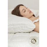 Sleepoos %100 Organik Pamuk Yastık - 50 × 70 cm - Beyaz