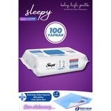 Sleepy Easy Clean Çamaşır Suyu Katkılı Yüzey Temizlik Havlusu 100 Yaprak + İntermop Slim Cam Bezi